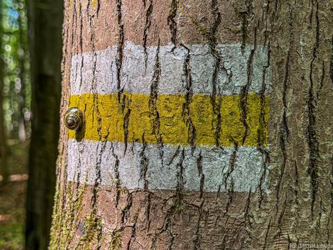 Zdjęcie z Truso MTB Race (35/85)