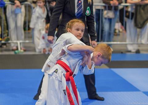 Zdjęcie z turnieju judo im. Czesława Misiuka (3/28)