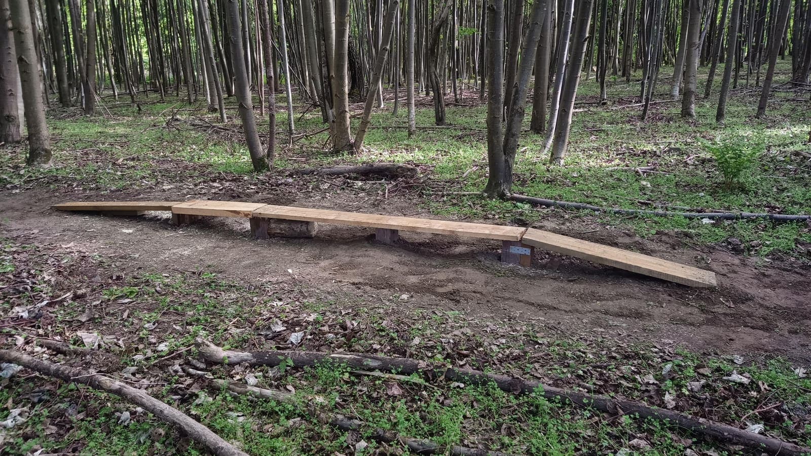Elbląski Bikepark Truso — zdjęcie 2