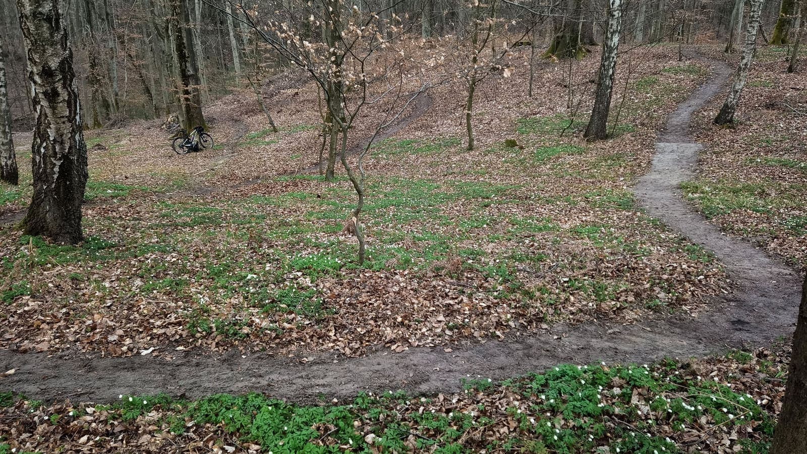 Elbląski Bikepark Truso — zdjęcie 20