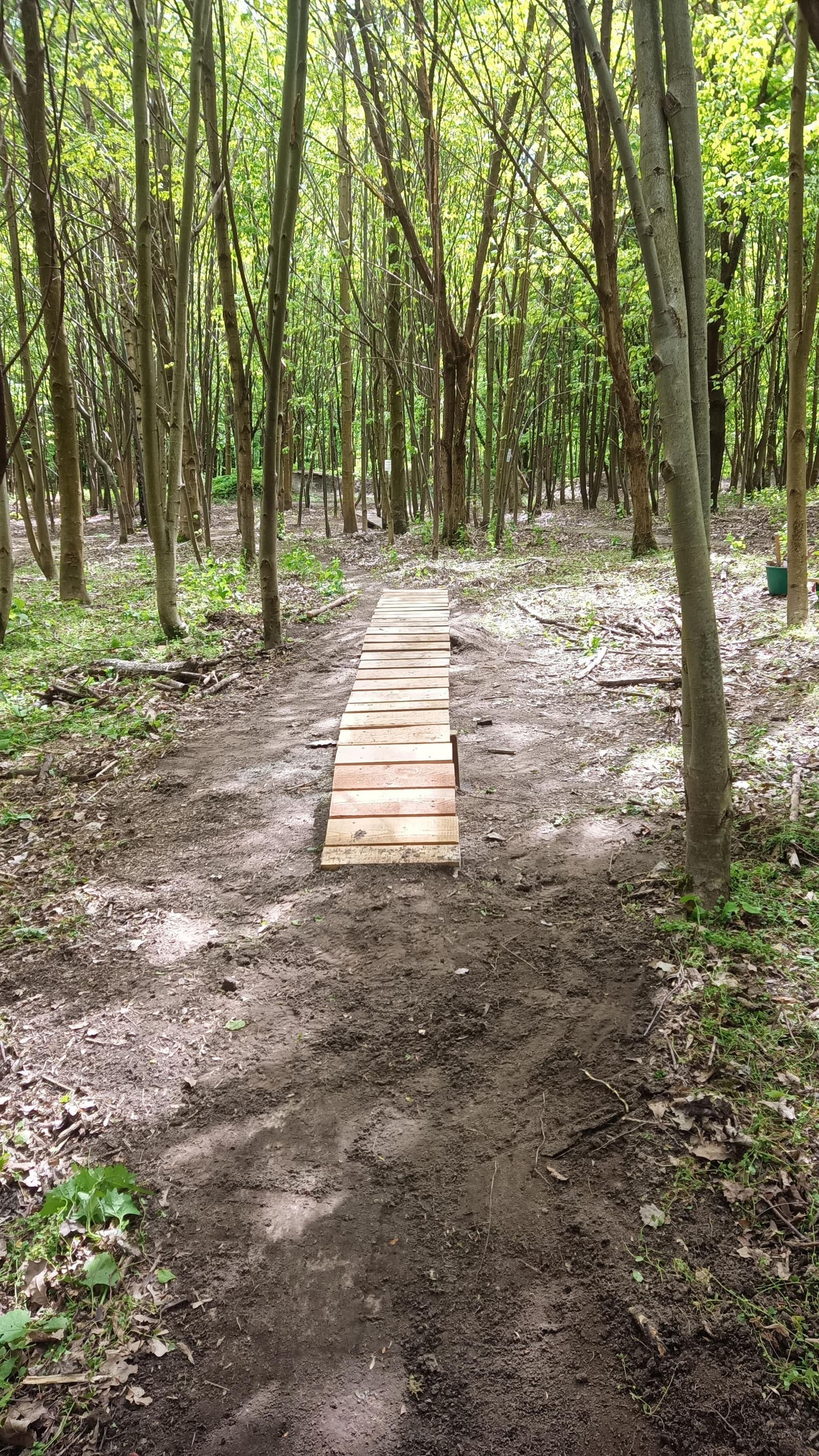 Elbląski Bikepark Truso — zdjęcie 3