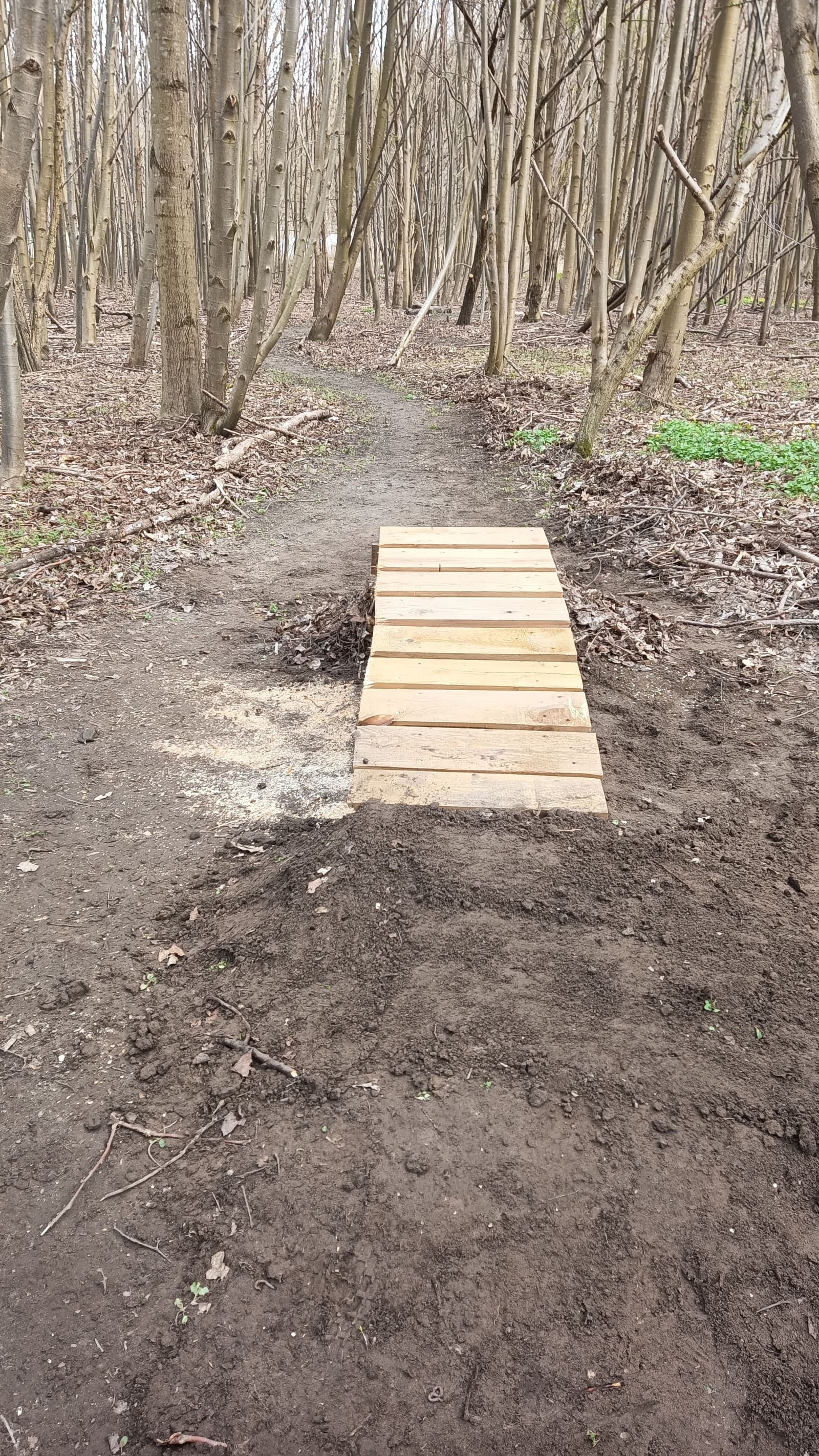Elbląski Bikepark Truso — zdjęcie 9