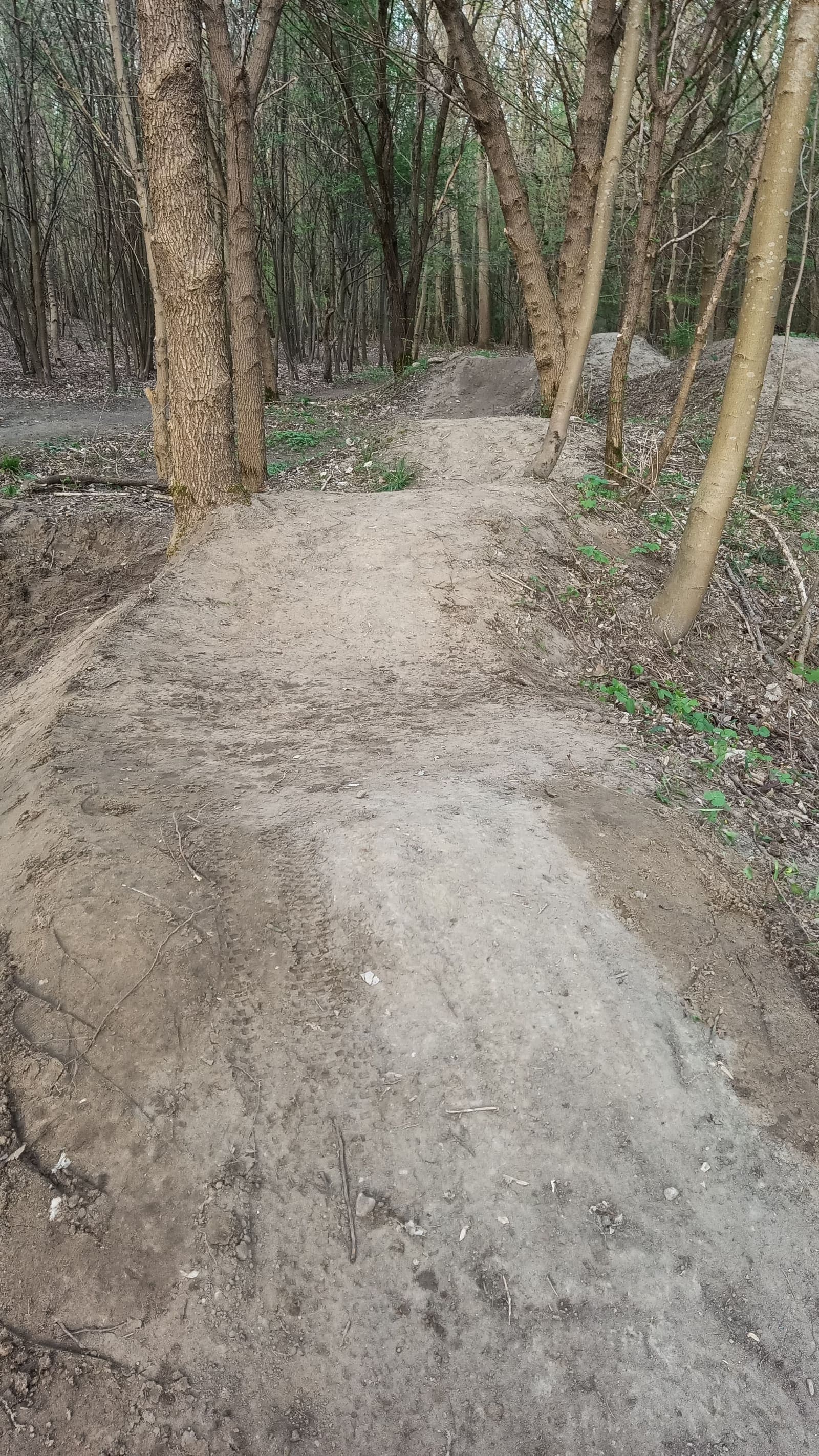 Elbląski Bikepark Truso — zdjęcie 7