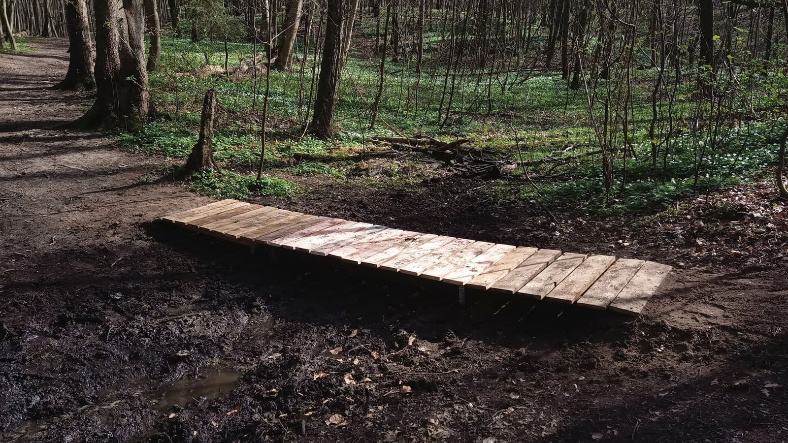 Elbląski Bikepark Truso — zdjęcie 13