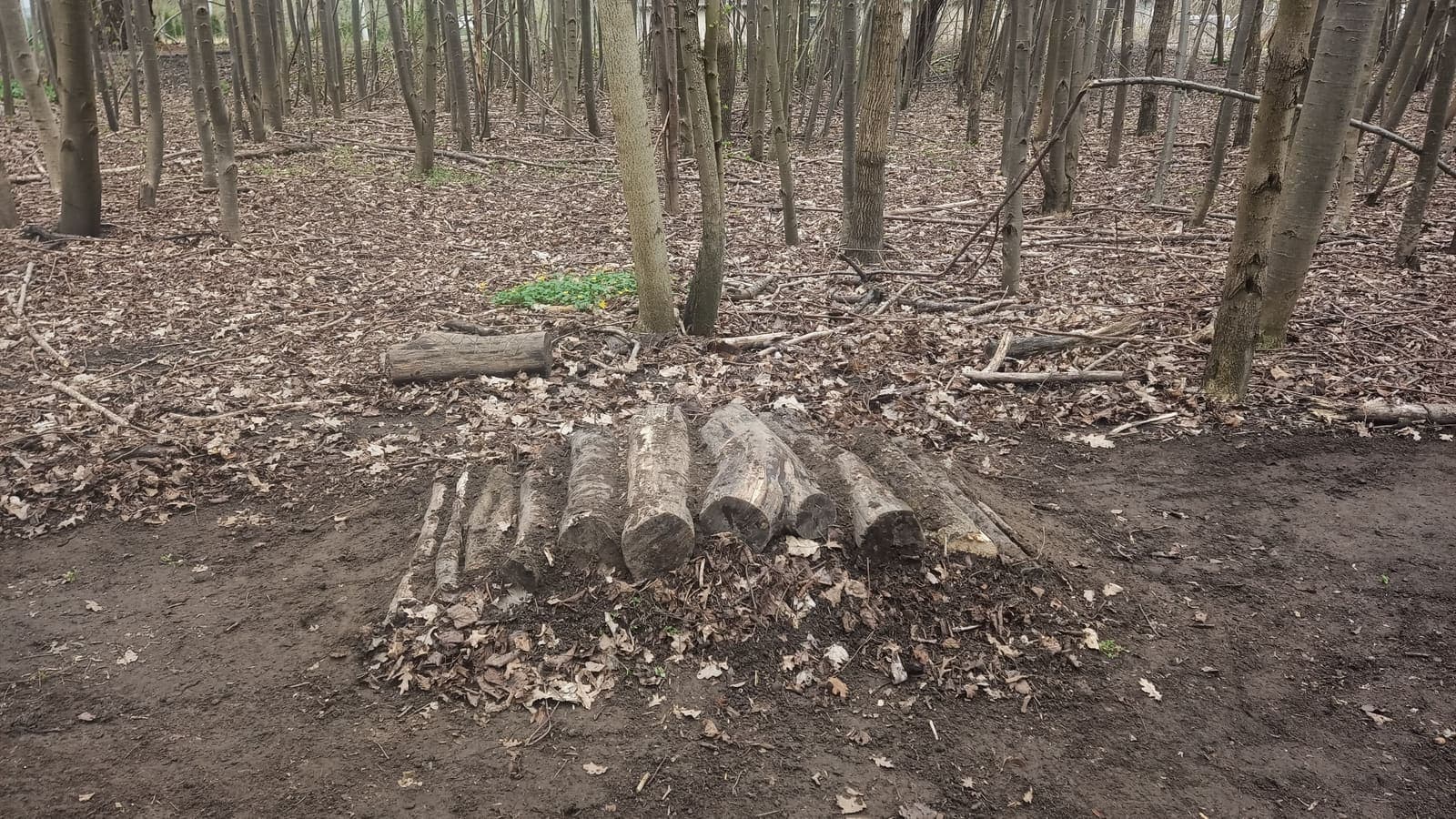 Elbląski Bikepark Truso — zdjęcie 8