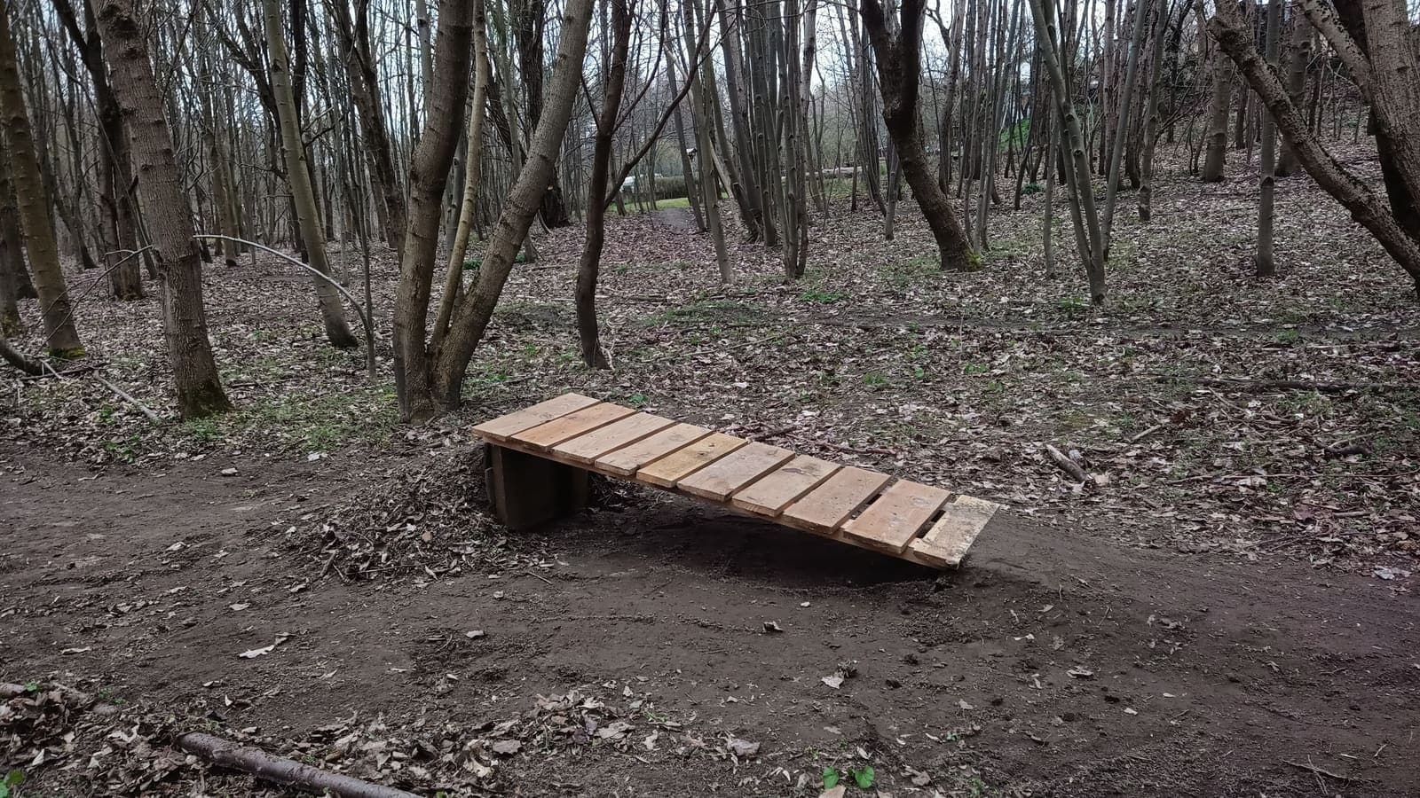 Elbląski Bikepark Truso — zdjęcie 10