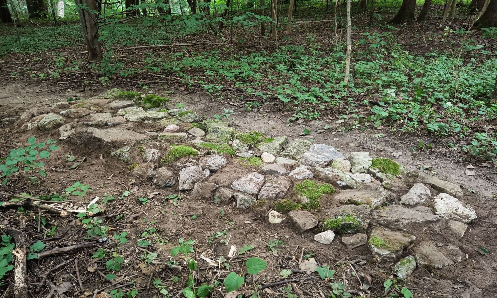 Elbląski Bikepark Truso — zdjęcie 24