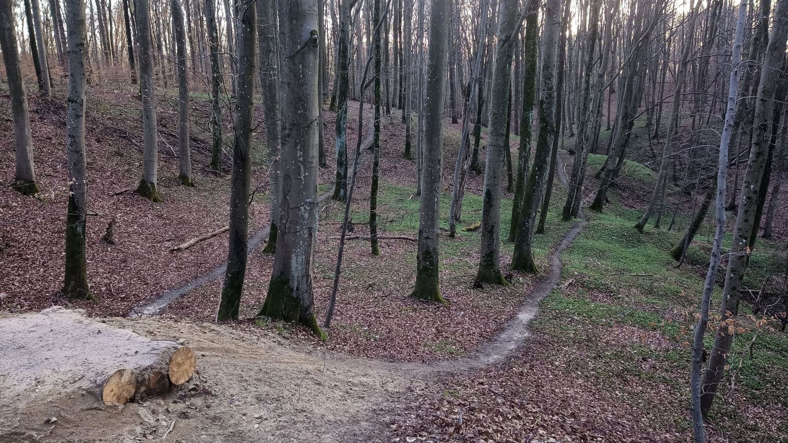 Elbląski Bikepark Truso — zdjęcie 15