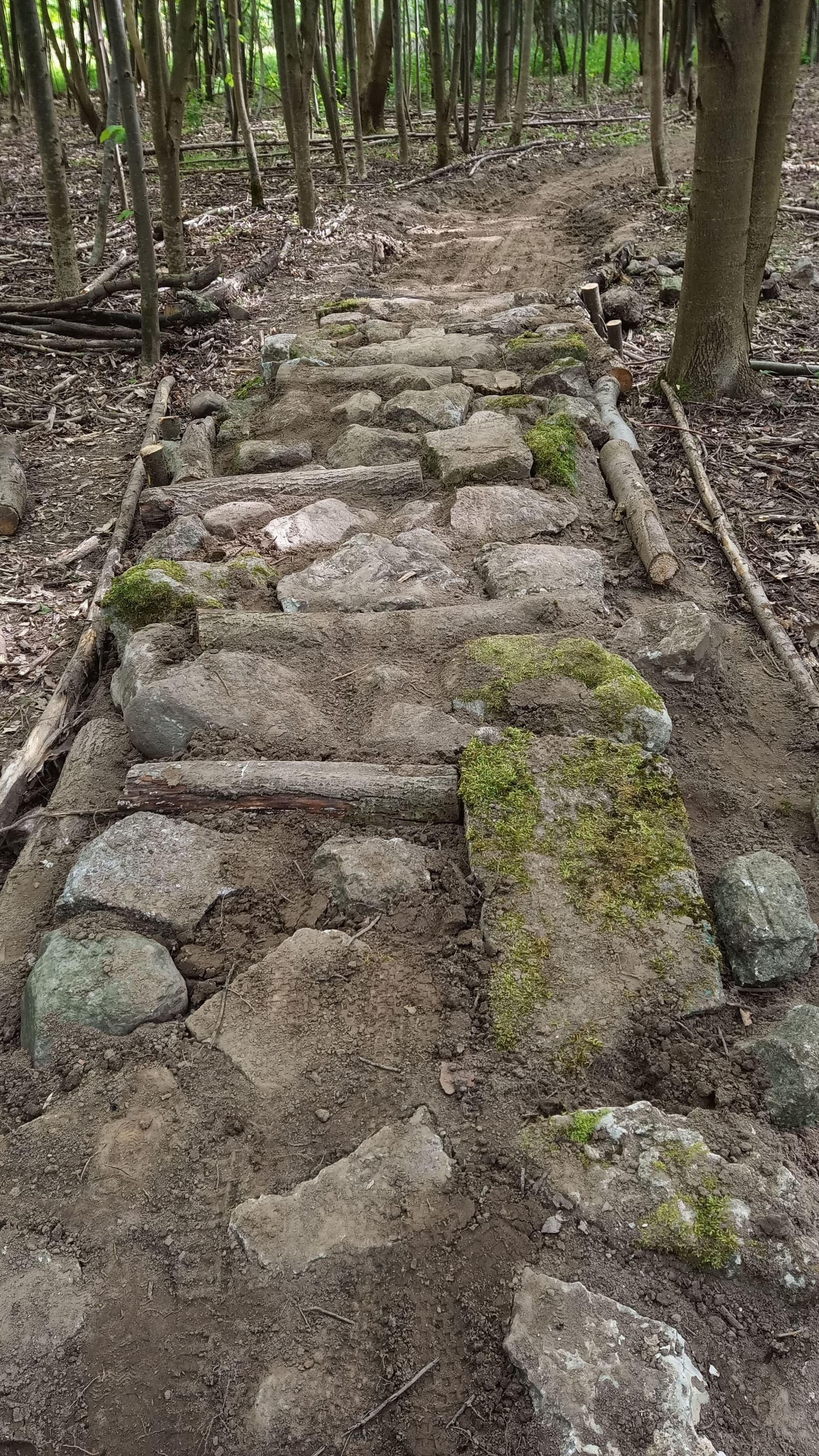 Elbląski Bikepark Truso — zdjęcie 11