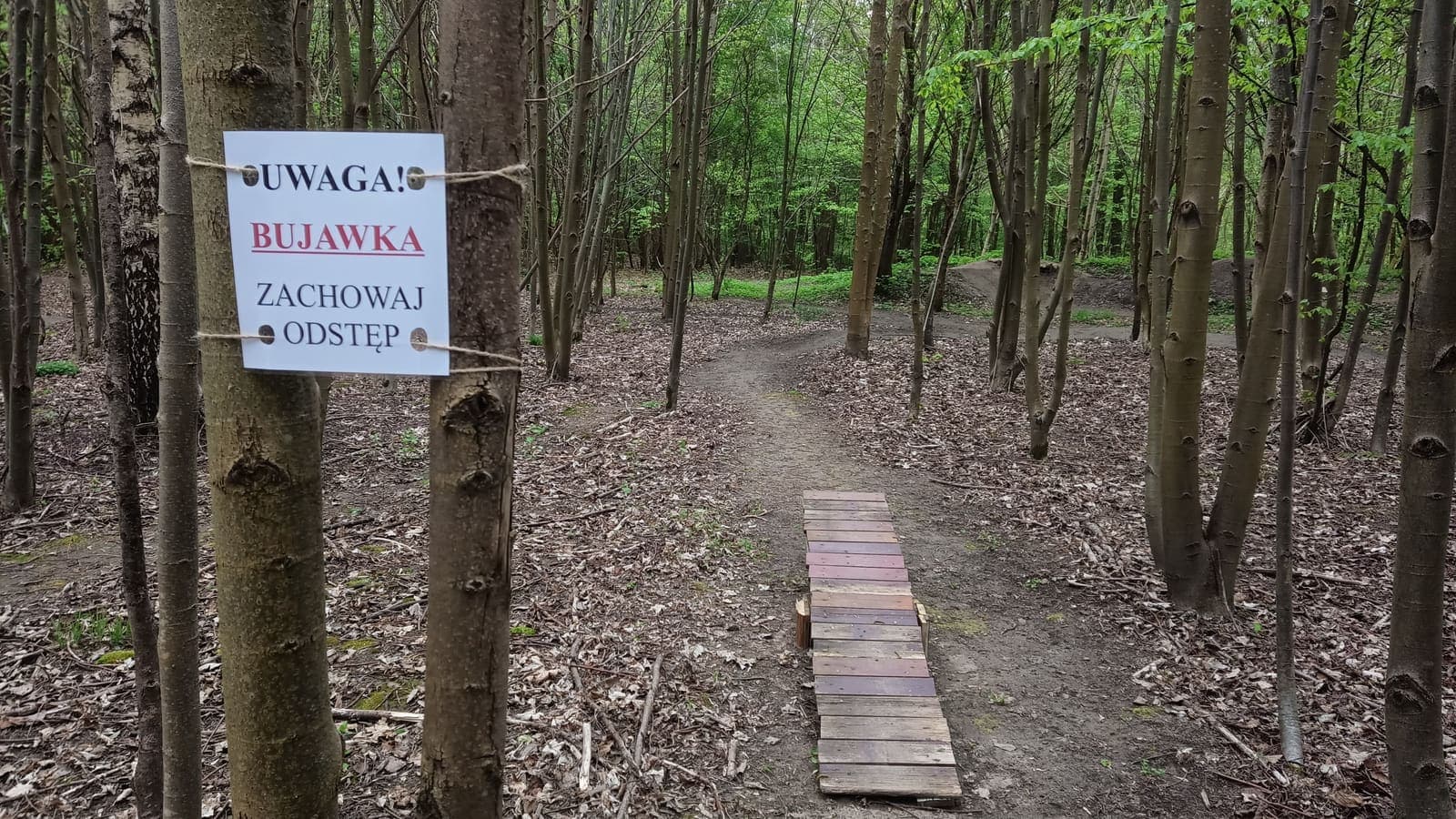 Elbląski Bikepark Truso — zdjęcie 5