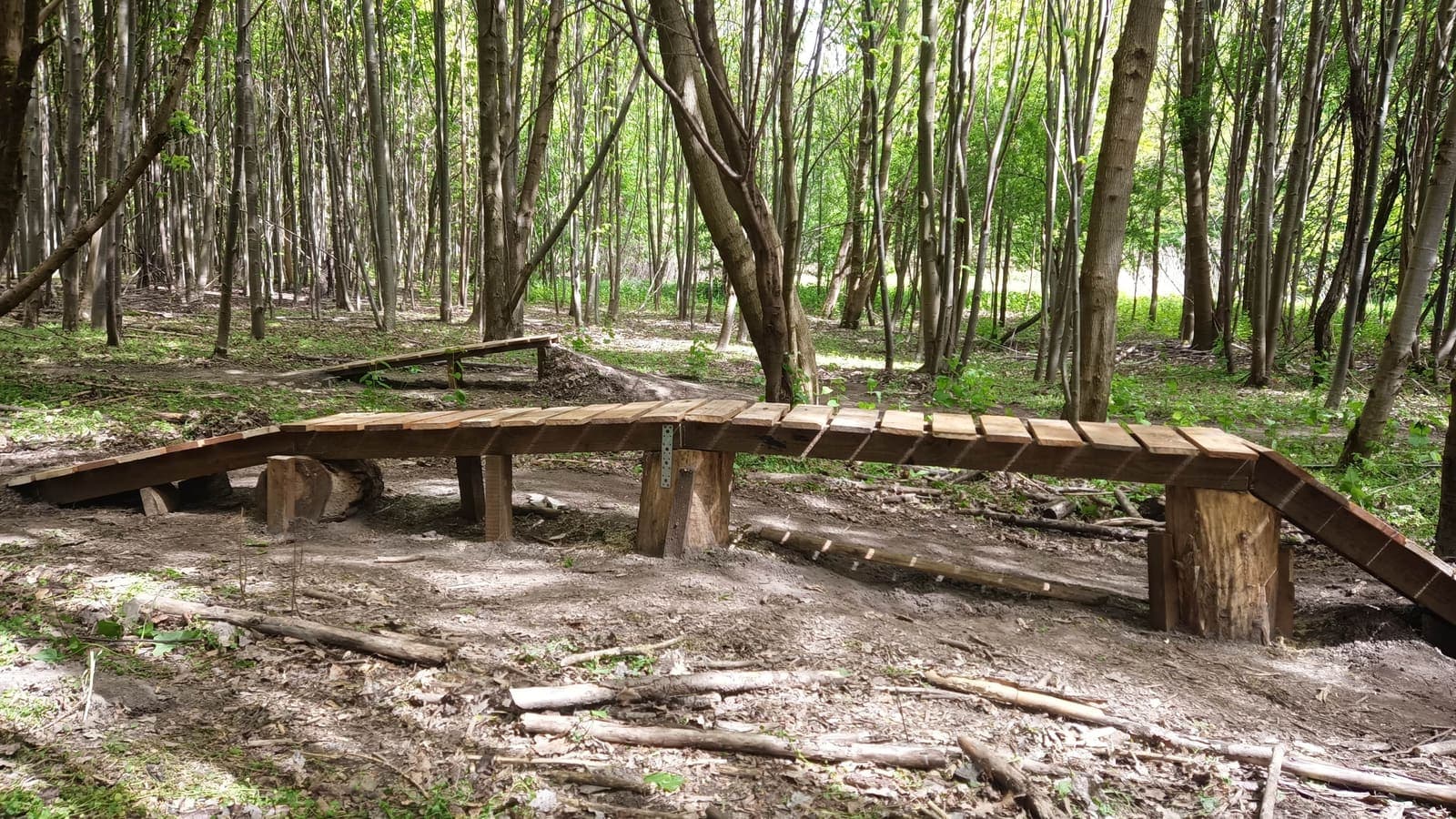 Elbląski Bikepark Truso — zdjęcie 4